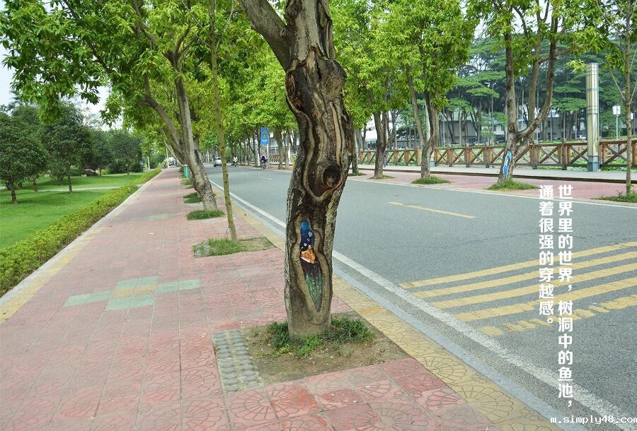 点击查看原图