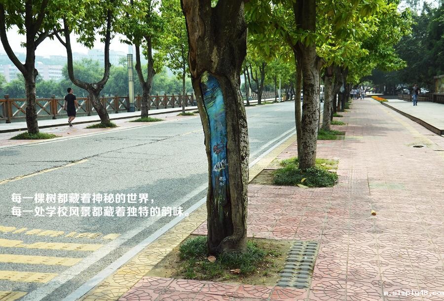 点击查看原图